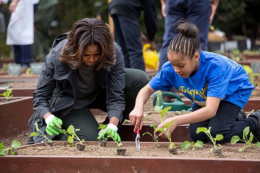 Michelle Obama and a young girl plant seedlings