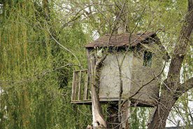 treehouse: Image of treehouse