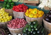 bushel baskets of fresh peppers, potatoes, squash, eggplant