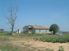 Photo shows a small, dilapidated house in an open rural area, with one tree nearby, to accompany an article about the rural housing crisis