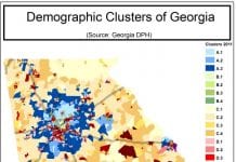 A graphic showing the demographic clusters of Georgia.