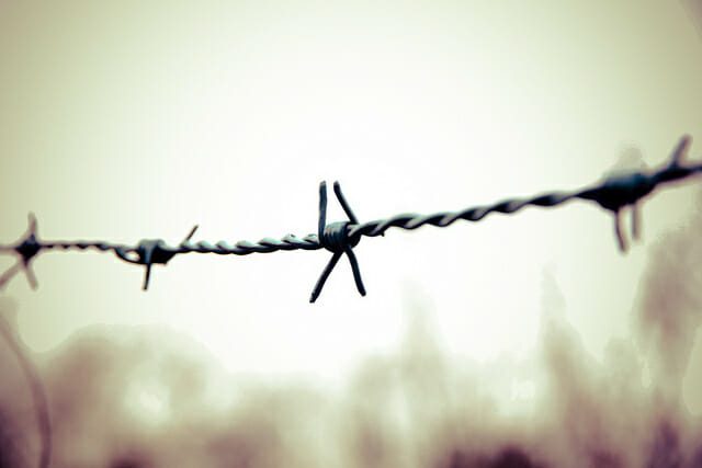 barbed wire