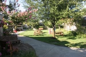 A play and picnic area at the Dos Pinos cooperative in California.