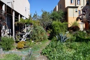 A local farm founded as a community garden in East Oakland, California.