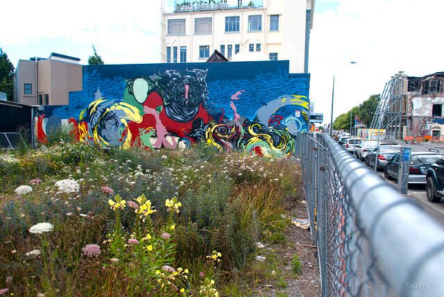 city lot wildflowers