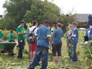 Youth prep, plant, and maintain sunflowers in a once vacant lot in Pittsburgh. 