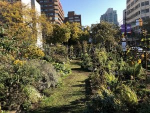 community garden