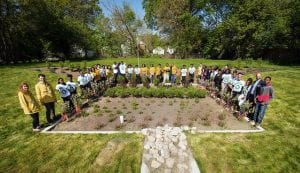 detroit bioretention gardems