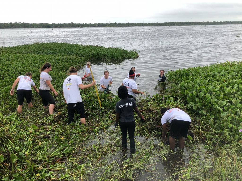 Several groups gather at the Bayou Bienvenue to remove water hyacinths from the bayou. Joint efforts like this help build neighborhood resilience in New Orleans.