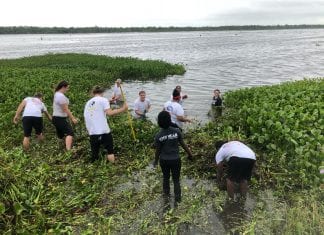 Several groups gather at the Bayou Bienvenue to rid the area of water hyacinths. Joint efforts like this help build neighborhood resilience.