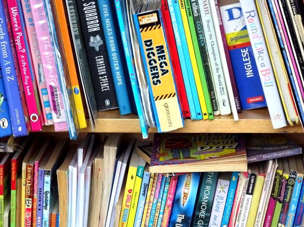 Books stacked on two shelves signifies literacy programs.