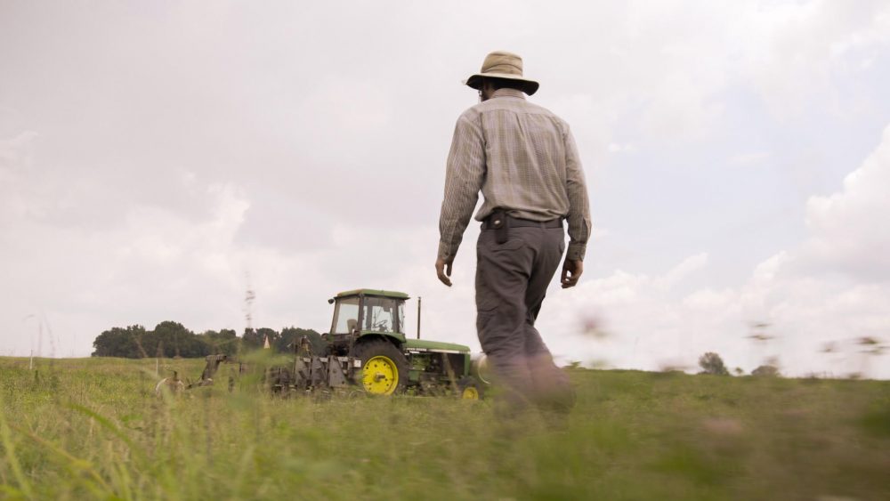 Get Involved - Community Farm Land Trust