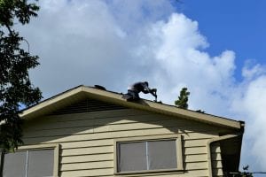 home repair: a man repairs the roof of a house