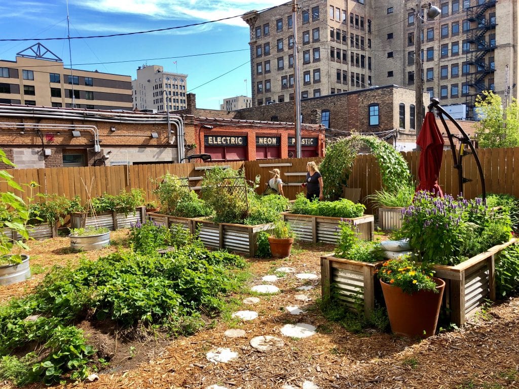 Photo of AICHO's Gimaaji Gardens