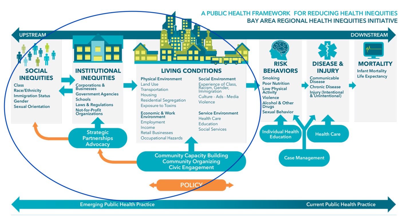 Статус пол. Health and economic Development. Determines of Health. Public Health Practice. Institutional Business что это.