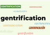 An image with the word gentrification over and over again in different fonts and colors.