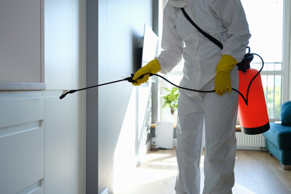 Pest Control Services