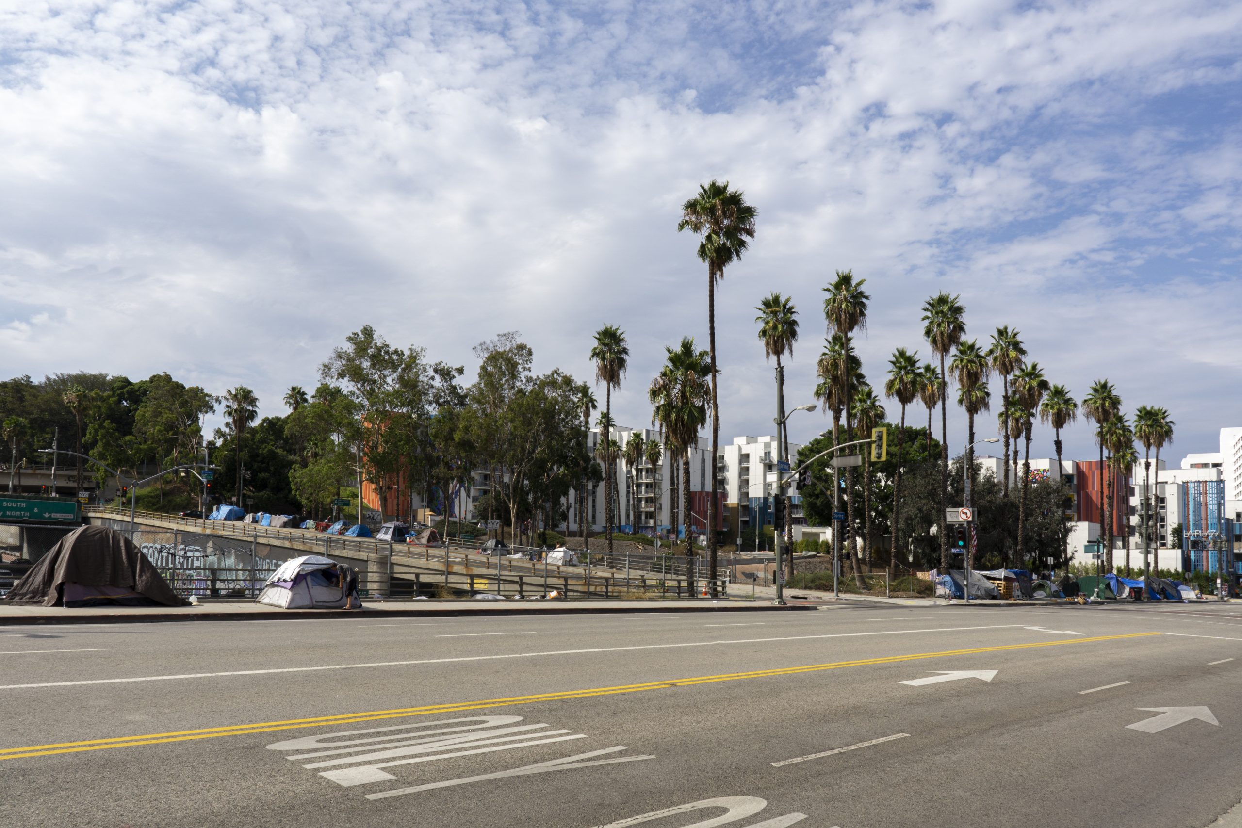 View from across the road of homeless tents lining the freeway in Los Angeles. Behind them are palm trees, with multistory apartment buildings in the background