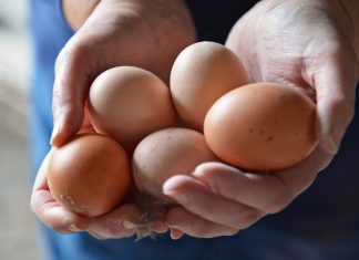 A person holding eggs.