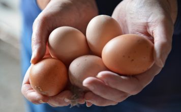 A person holding eggs.