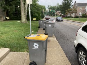 A view looking down a suburban sidewalk showing large trash and recycling bins placed randomly along the way, creating barriers for anyone using that sidewalk.