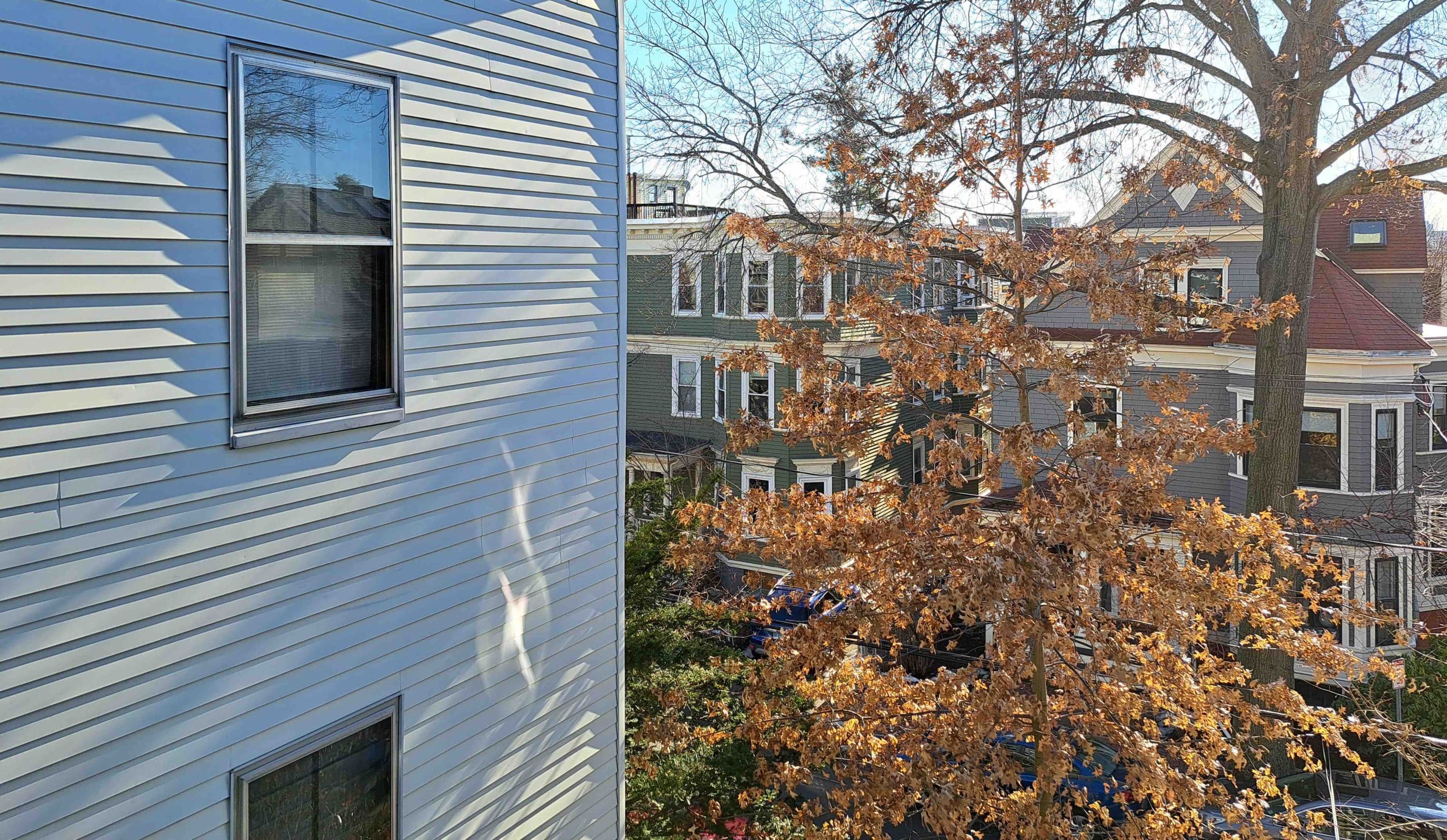 View from an upper-story window across the street from two three-story houses seen through the brown leaves of an oak tree. At left is the blue-gray clapboard exterior of the house from which the photo was taken.