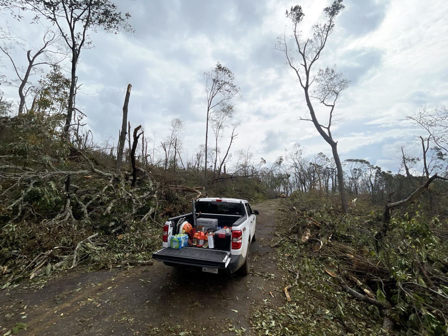 A white pickup truck sits on a road surrounded by damaged and fallen trees. There is equipment in the truck bed
