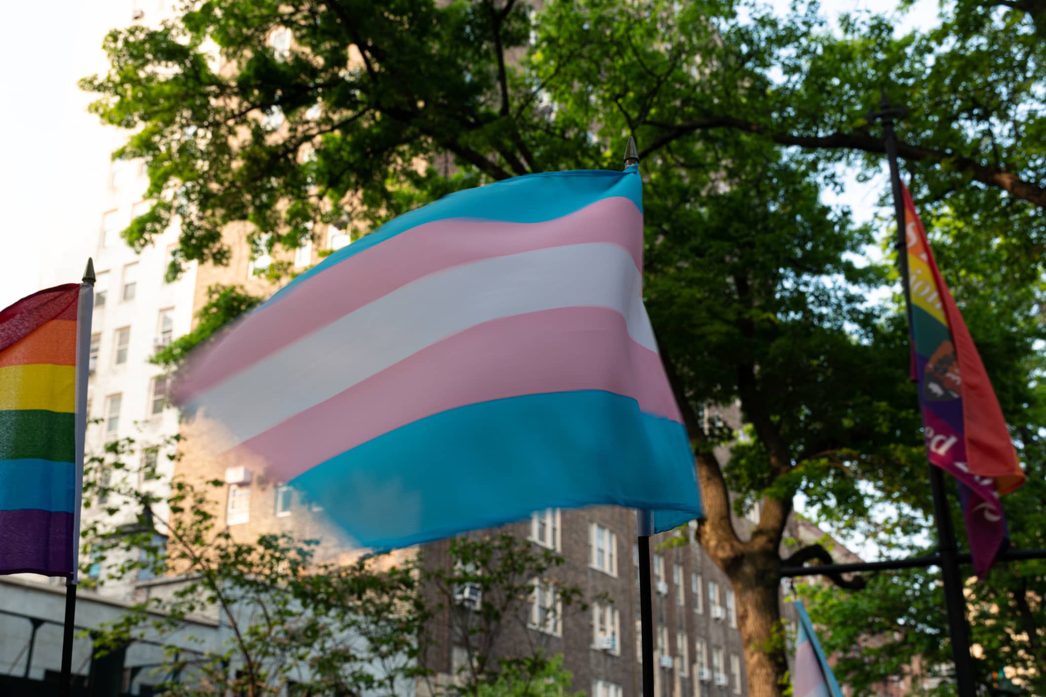 Outside, a pink, white and blue flag—representing the Transgender community—waves in the air.