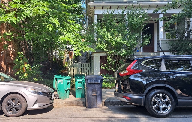 Two green recycling bins on the sidewalk and a gray trash pail by the curb on a residential street. Cars are parked on either side of the trash pail.