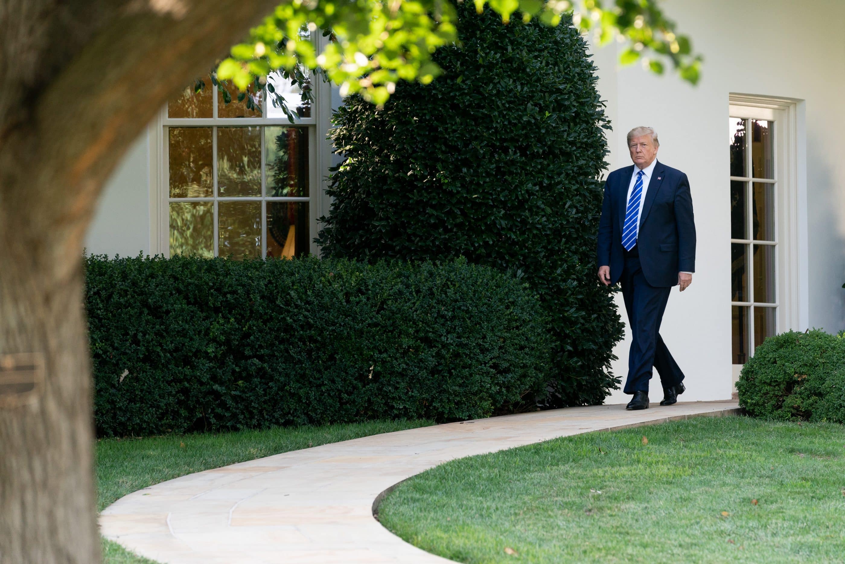 President Trump departs the Oval Office, walking down a curved walkway toward the South Lawn of the White House. Shrubbery lines the exterior of the building, and a blurry tree can be seen in the foreground. Trump is wearing a navy blue suit with a white shirt, a blue-and-white striped tie, and black dress shoes. His face looks stern.