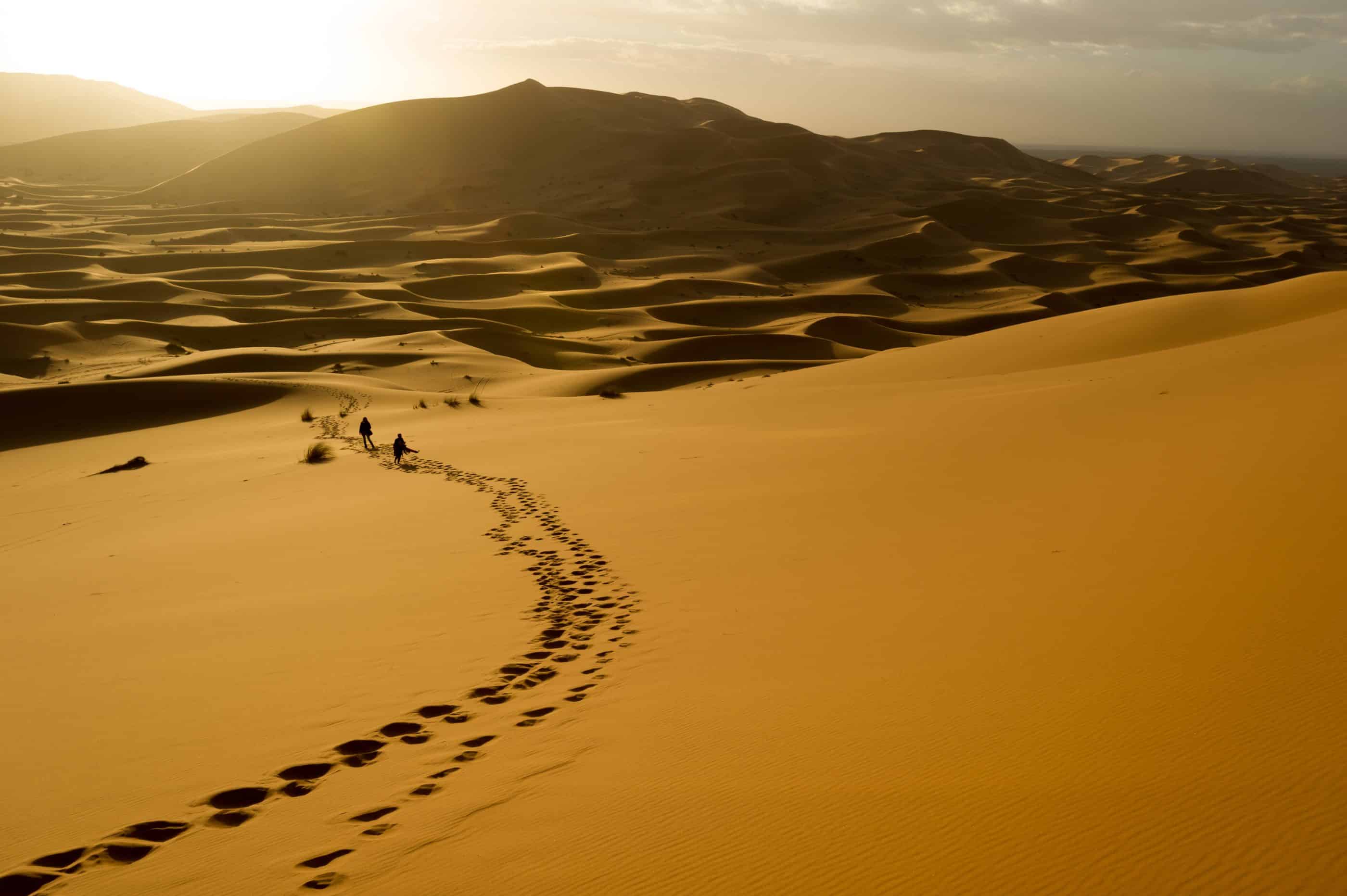 An expansive desert scene showing two figures wandering in the distance. Footprints in the sand trail behind them.